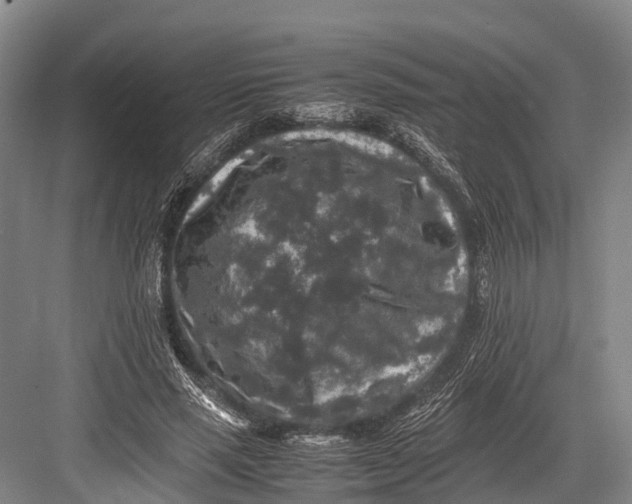 X0000082720637200702161842