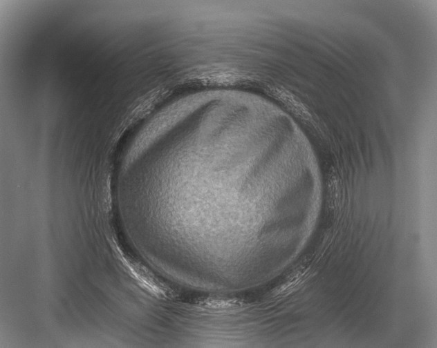 X0000082720638200702161842