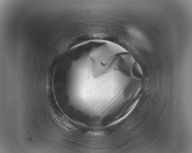 X0000082720639200702161842