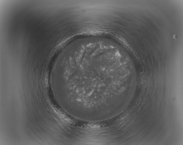 X0000082720640200702161842