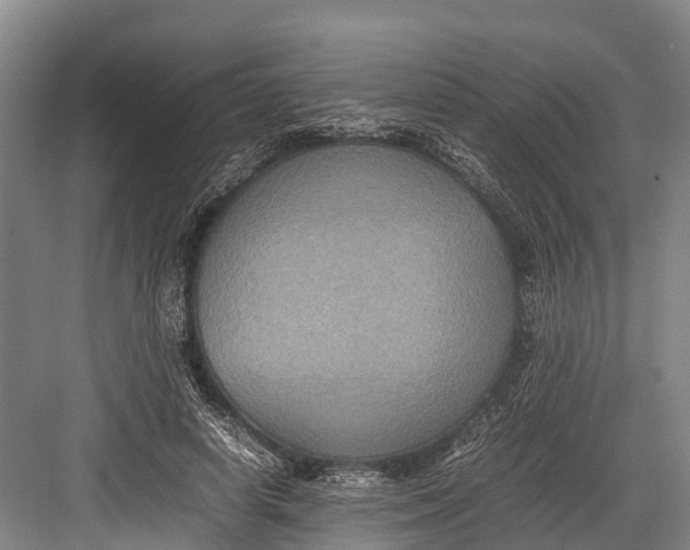 X0000082720642200702161842