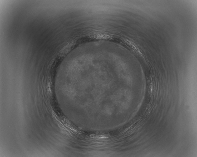 X0000082720643200702161842