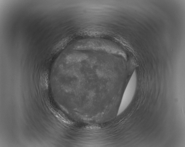 X0000082720644200702161842