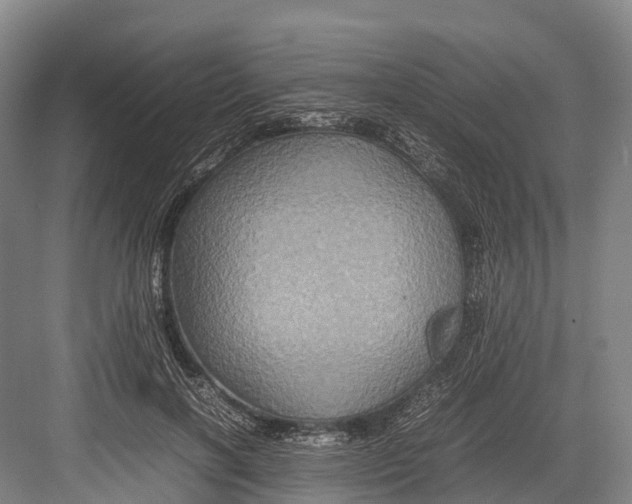 X0000082720646200702161842