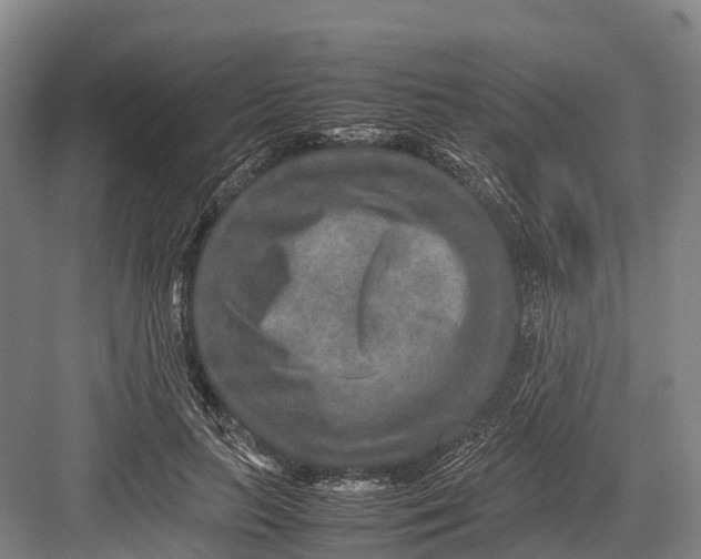 X0000082720647200702161842