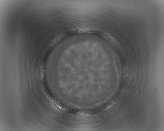 X0000082720648200702161842