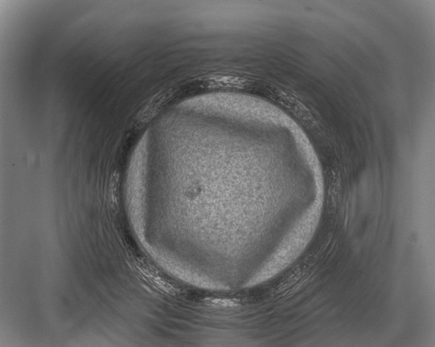 X0000082720649200702161842