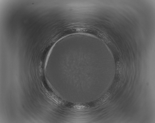 X0000082720650200702161842