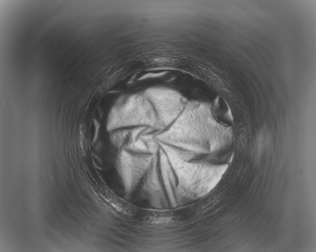 X0000082720651200702161842