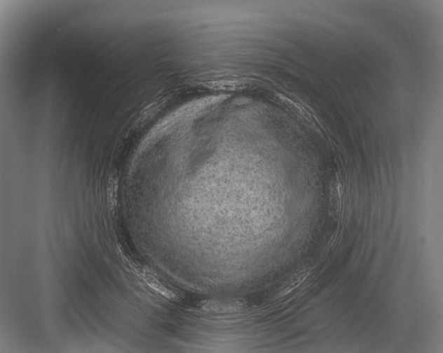 X0000082720652200702161842