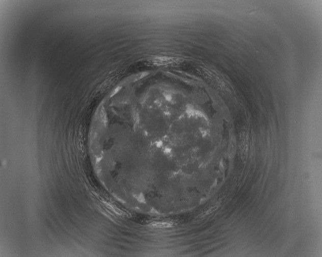 X0000082720653200702161842