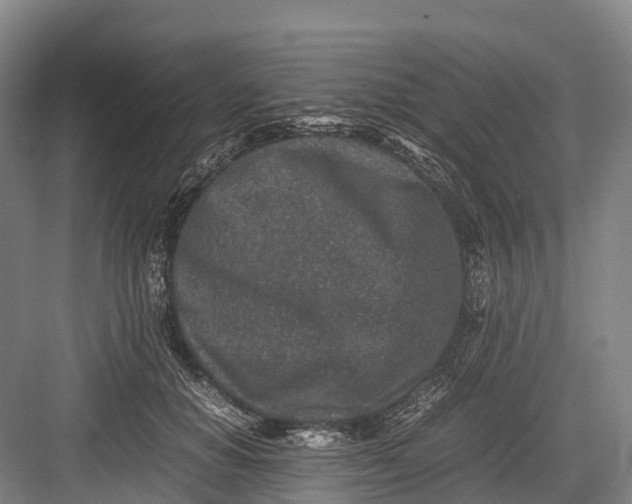 X0000082720654200702161842