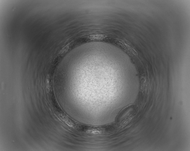 X0000082720655200702161842