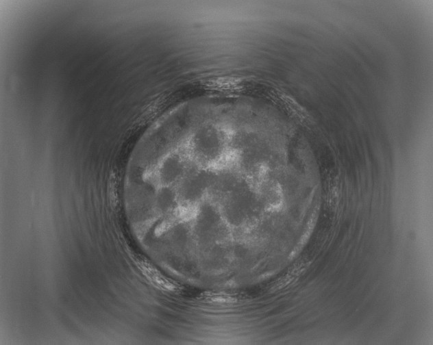 X0000082720658200702161842