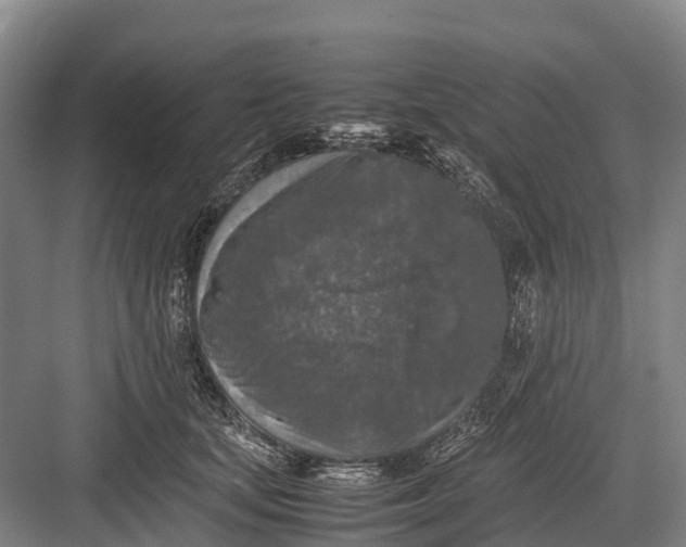 X0000082720659200702161843