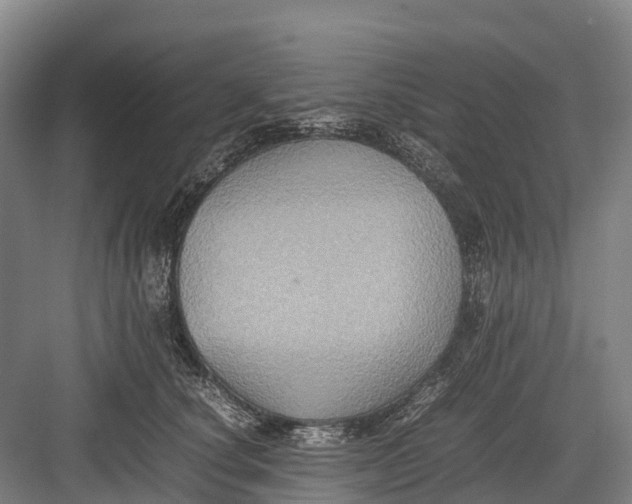 X0000082720660200702161843