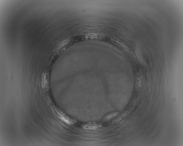 X0000082720661200702161843