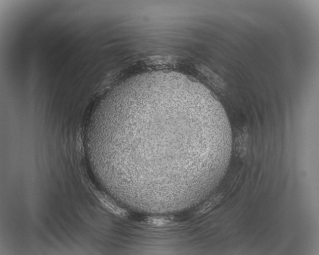 X0000082720662200702161843