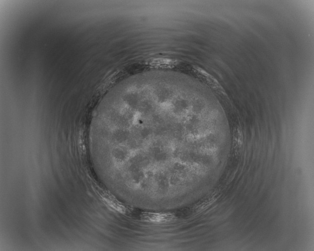 X0000082720663200702161843