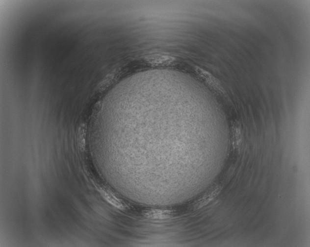 X0000082720664200702161843