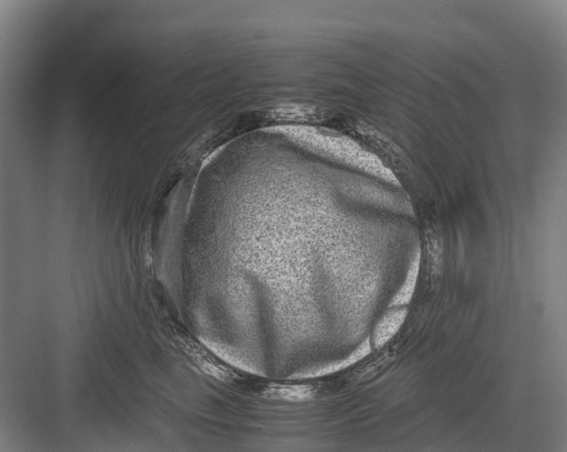 X0000082720665200702161843