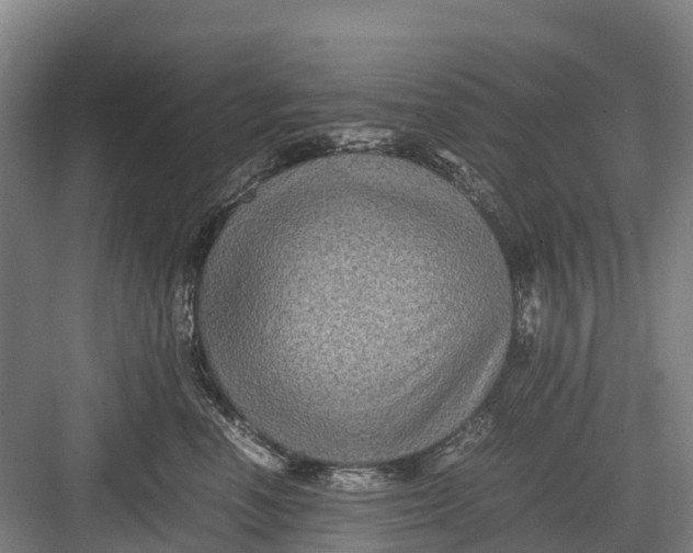 X0000082720666200702161843