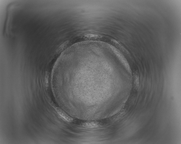 X0000082720668200702161843