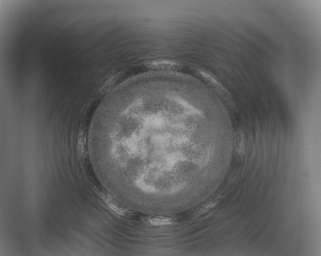 X0000082720669200702161843