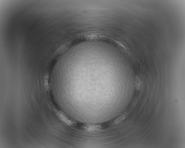 X0000082720670200702161843