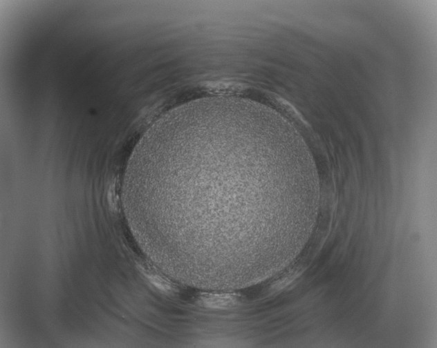 X0000082720671200702161843