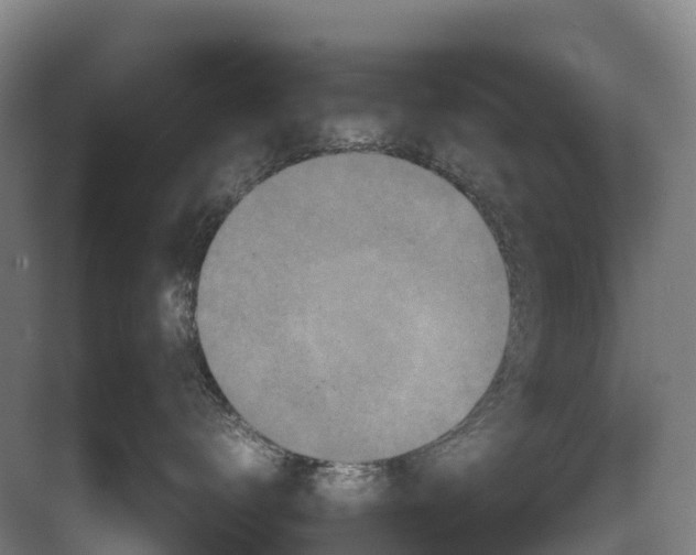 X0000082720672200702161843