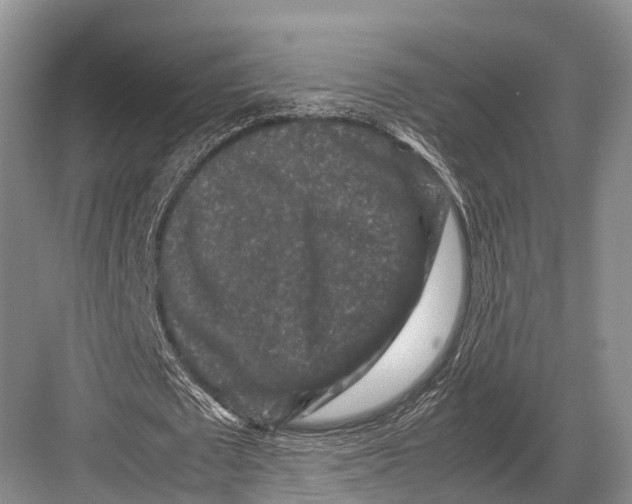 X0000082720673200702161842