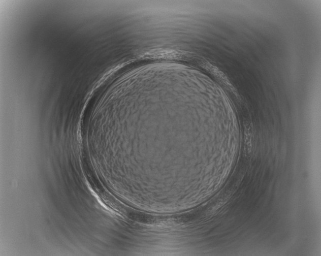 X0000082720674200702161842