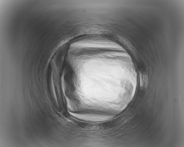 X0000082720675200702161842