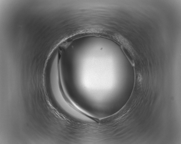 X0000082720676200702161842