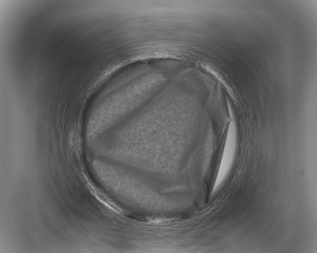 X0000082720677200702161842