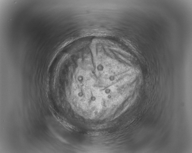 X0000082720679200702161842