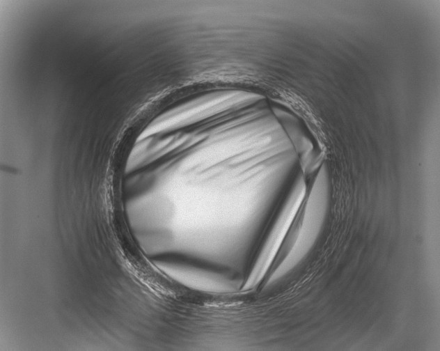 X0000082720680200702161842