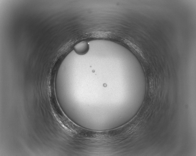 X0000082720682200702161842