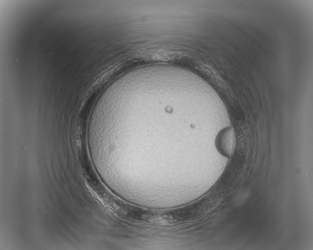 X0000082720683200702161842