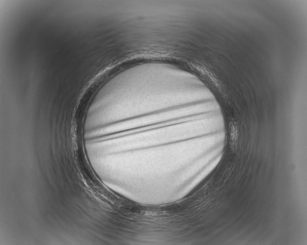 X0000082720684200702161842