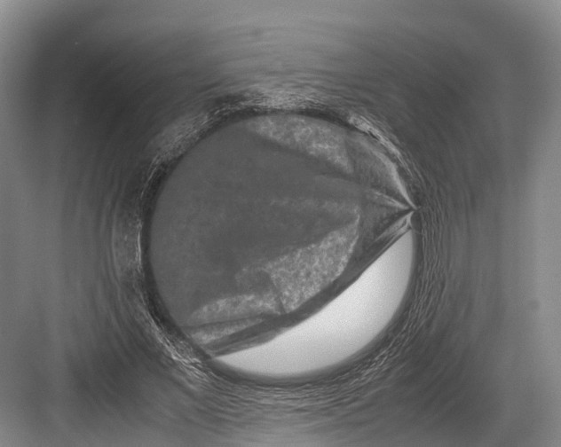 X0000082720685200702161842