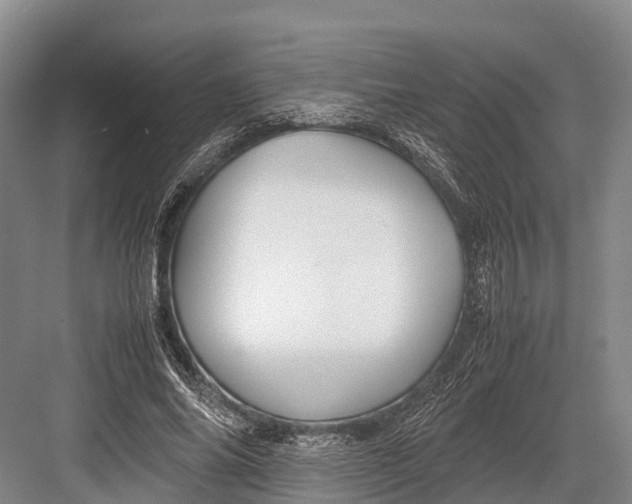 X0000082720686200702161842