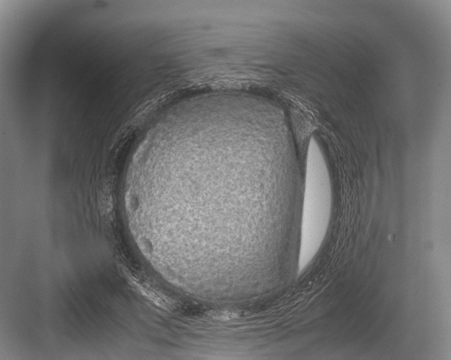 X0000082720687200702161842