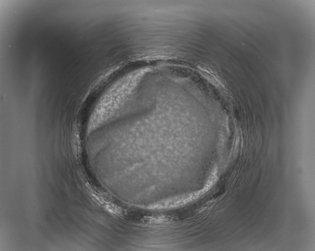 X0000082720688200702161842