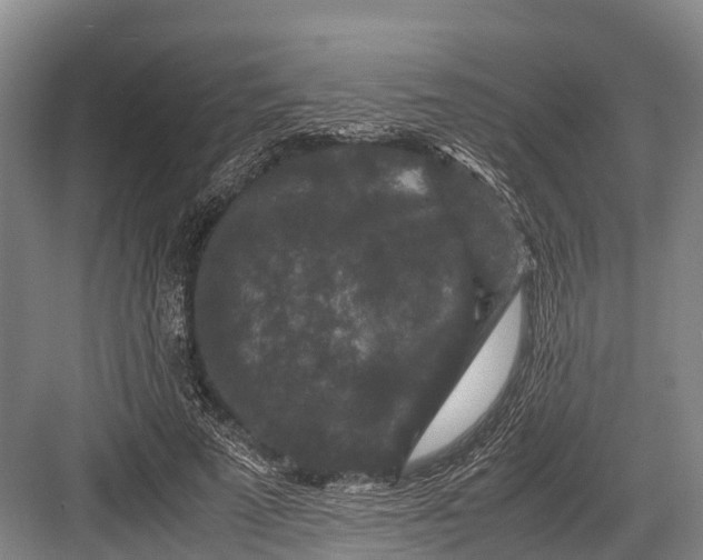 X0000082720689200702161842