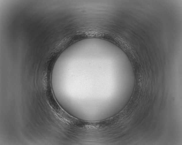 X0000082720690200702161842