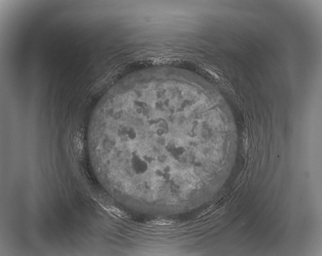 X0000082720691200702161842