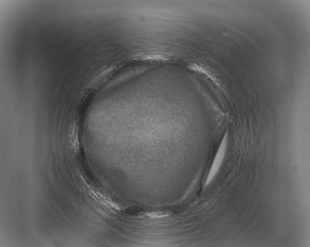 X0000082720692200702161842