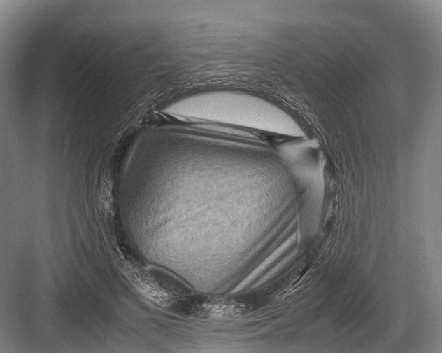 X0000082720693200702161842